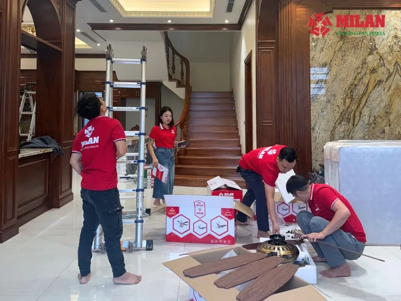 quat-tran-trang-tri-kem-den-milan